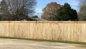 Fence Cleaning