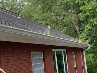 Gutter Cleaning