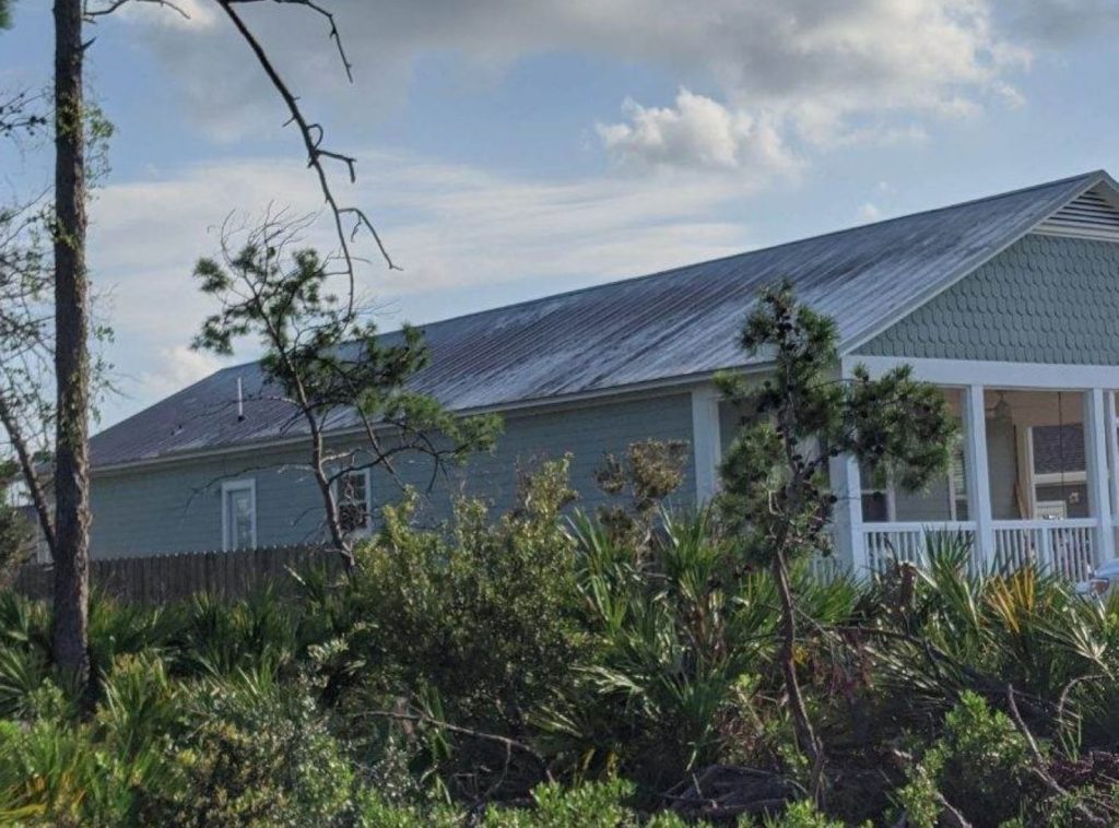 Roof Cleaning